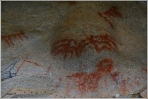 pinturas rupestres - especie